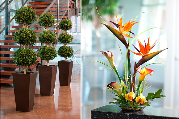 Officescapesdirect.com_ Location Shoot Samples