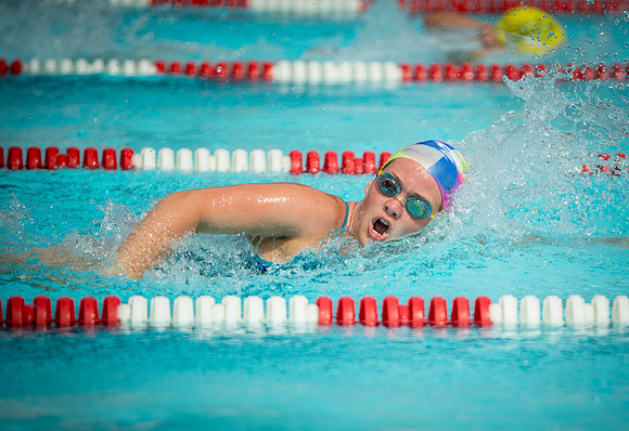 crc15cty_final-0903