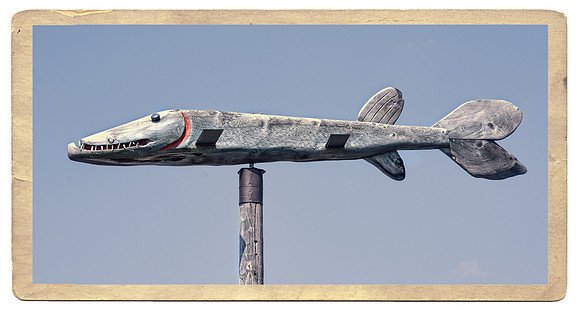 Fishtown Weathervane Postcard