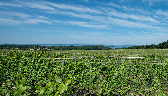 Mission Point overlooking Sutton's Bay, MI