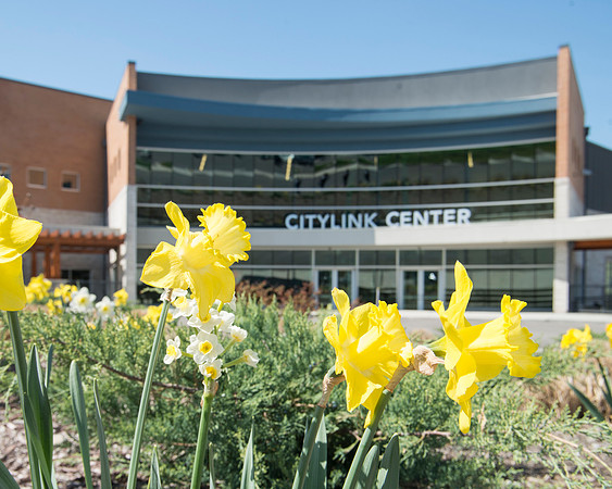 ctylnk14gears_title-1310