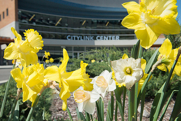 ctylnk14front_spring