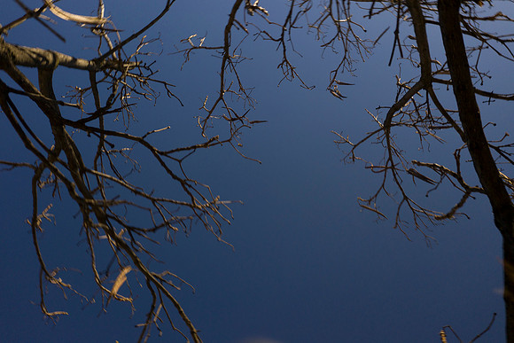 ctylnk04.02.21droneview