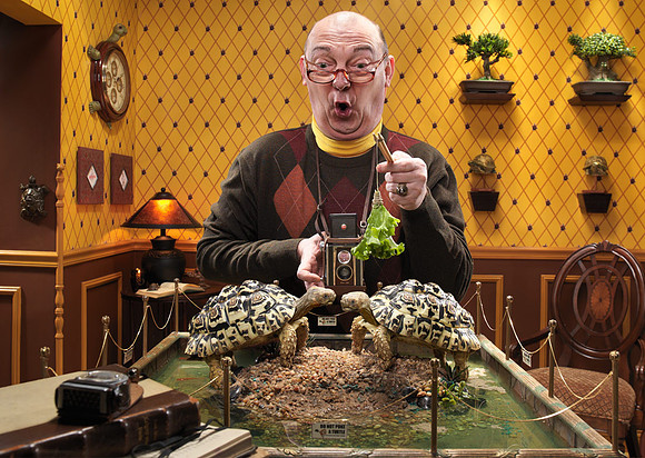 Turtle Love