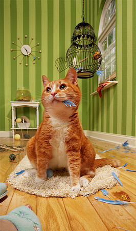 Newsflash, I eat at 5