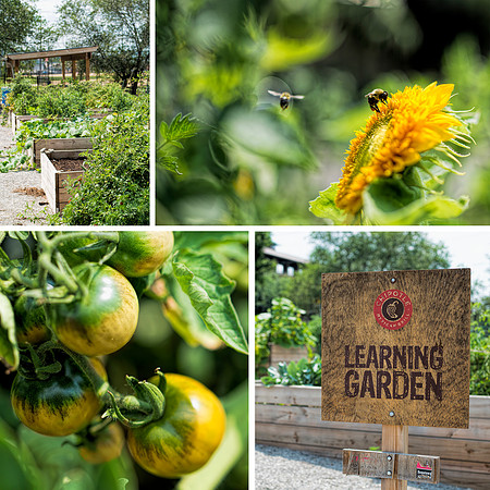 Learning Garden Composite v2