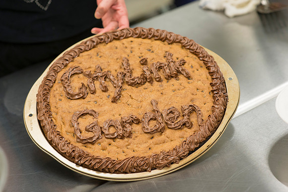 ctylnk13_grdn-3727