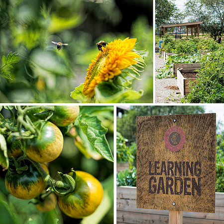 Learning Garden Composite