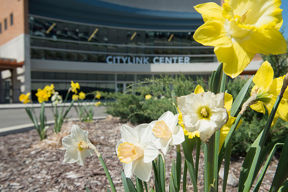 ctylnk14gears_title-1332